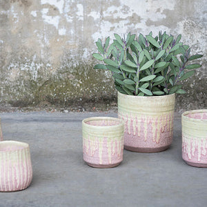 Pot LILY rose - Sozon