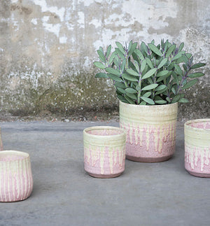 Pot LILY rose - Sozon