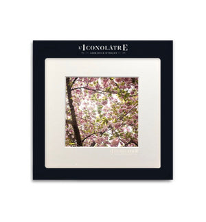 Photographie L'iconolâtre - CERISIERS JAPON - Sozon