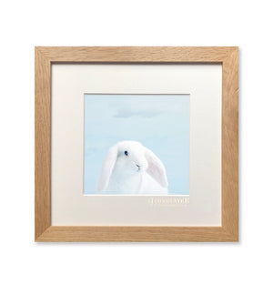 Photographie L'iconolâtre - LAPIN - Sozon