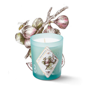 Bougie parfumée - Figue tropicale - Sozon