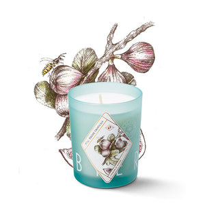 Bougie parfumée - Figue tropicale - Sozon