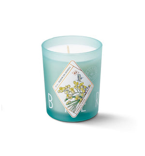 Bougie parfumée - Fleur de mimosa - Sozon