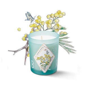 Bougie parfumée - Fleur de mimosa - Sozon