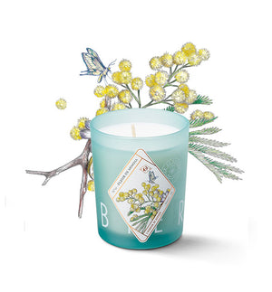 Bougie parfumée - Fleur de mimosa - Sozon