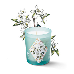 Bougie parfumée - Fleur d'oranger - Sozon