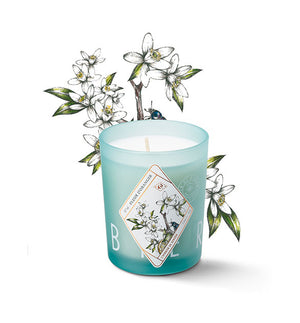 Bougie parfumée - Fleur d'oranger - Sozon